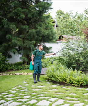 Jardineros expertos en mantenimiento de zonas verdes